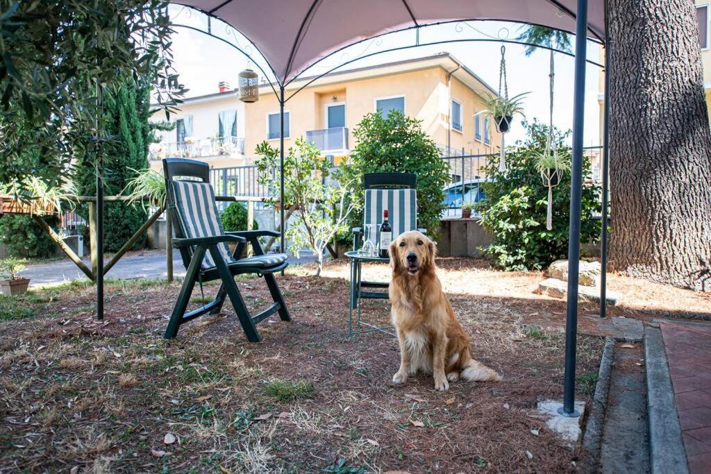 Easy Florence Scandicci Extérieur photo
